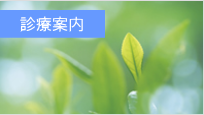 診療案内